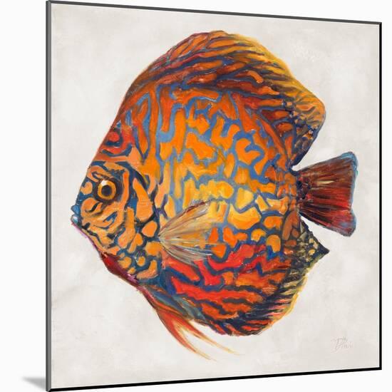 Little Fish II-Patricia Pinto-Mounted Art Print