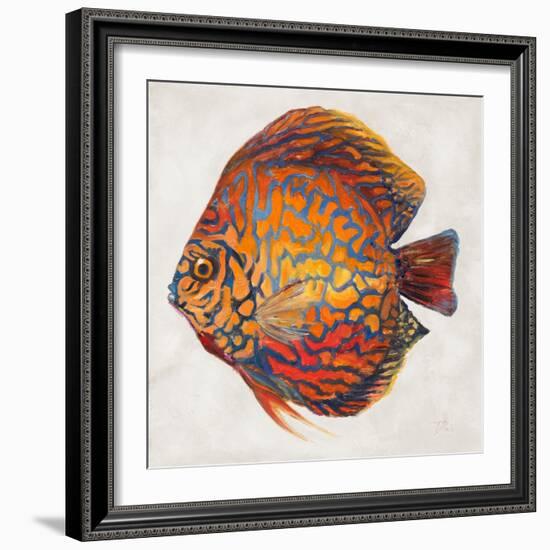 Little Fish II-Patricia Pinto-Framed Art Print