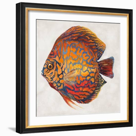 Little Fish II-Patricia Pinto-Framed Art Print