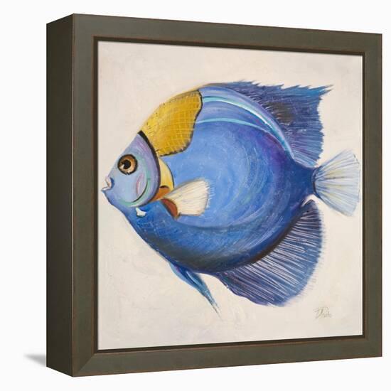 Little Fish III-Patricia Pinto-Framed Stretched Canvas