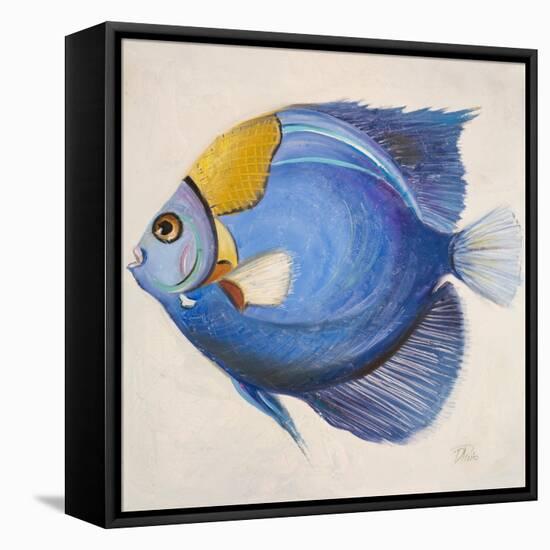 Little Fish III-Patricia Pinto-Framed Stretched Canvas
