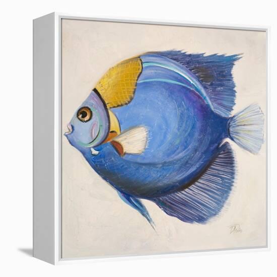 Little Fish III-Patricia Pinto-Framed Stretched Canvas