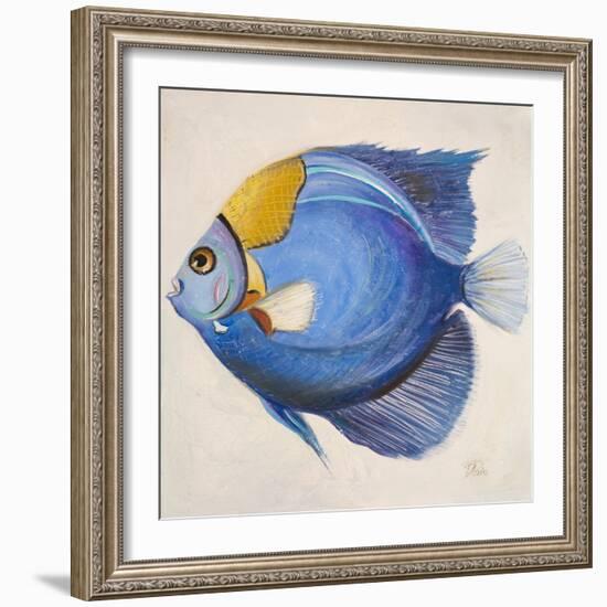 Little Fish III-Patricia Pinto-Framed Art Print