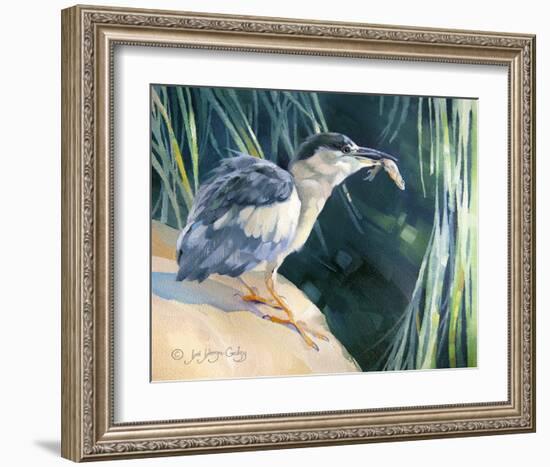 Little Fisherman - Black Crowned Night Heron-Joni Johnson-Godsy-Framed Giclee Print