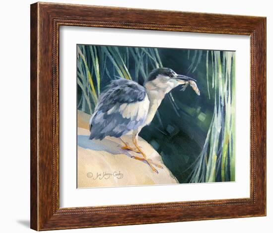 Little Fisherman - Black Crowned Night Heron-Joni Johnson-Godsy-Framed Giclee Print