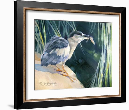 Little Fisherman - Black Crowned Night Heron-Joni Johnson-Godsy-Framed Giclee Print