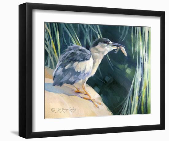 Little Fisherman - Black Crowned Night Heron-Joni Johnson-Godsy-Framed Giclee Print