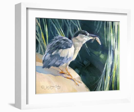 Little Fisherman - Black Crowned Night Heron-Joni Johnson-Godsy-Framed Giclee Print