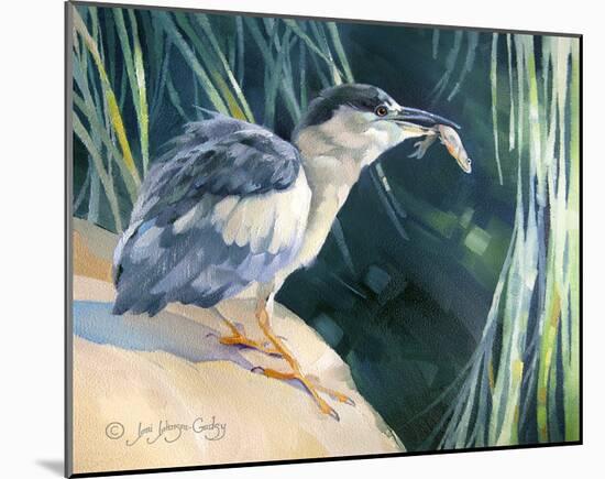 Little Fisherman - Black Crowned Night Heron-Joni Johnson-Godsy-Mounted Giclee Print