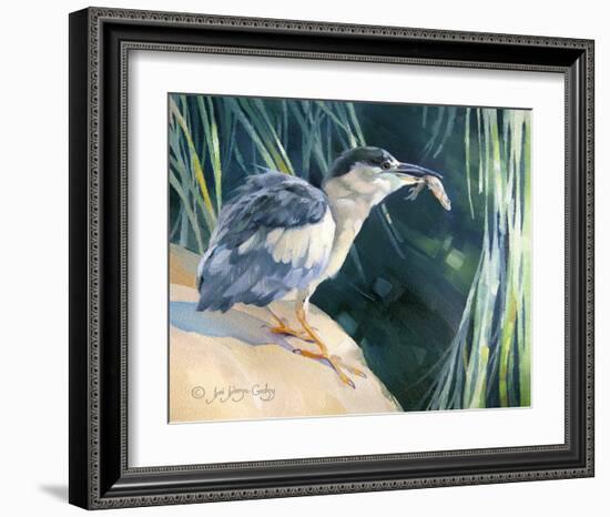 Little Fisherman - Black Crowned Night Heron-Joni Johnson-Godsy-Framed Giclee Print