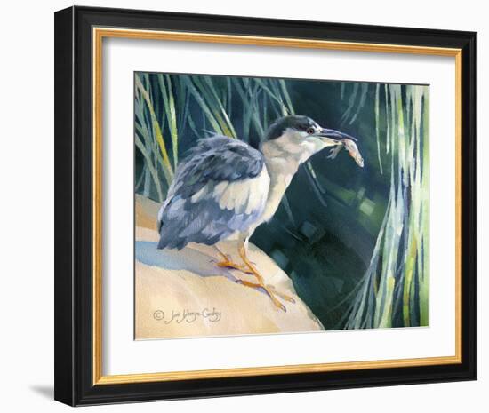 Little Fisherman - Black Crowned Night Heron-Joni Johnson-Godsy-Framed Giclee Print