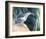 Little Fisherman - Black Crowned Night Heron-Joni Johnson-Godsy-Framed Giclee Print