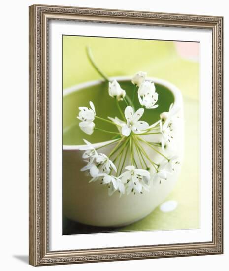 Little Flowers-Amelie Vuillon-Framed Art Print