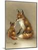 Little Fox Lost-Peggy Harris-Mounted Giclee Print