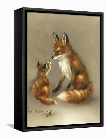 Little Fox Lost-Peggy Harris-Framed Premier Image Canvas