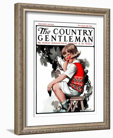 "Little Girl and Grapes," Country Gentleman Cover, September 20, 1924-Sarah Stilwell Weber-Framed Giclee Print