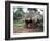 Little Girl Dressed for Church, in Front of Hut, Uganda, East Africa, Africa-D H Webster-Framed Photographic Print