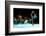 Little Girl Figure Skating at Sports Arena-Sergey Nivens-Framed Photographic Print