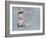 Little Girl Playing in Water on Beach-Nora Hernandez-Framed Giclee Print