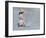 Little Girl Playing in Water on Beach-Nora Hernandez-Framed Giclee Print