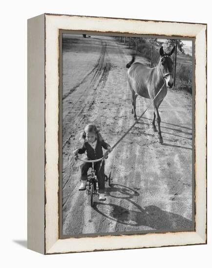 Little Girl Riding Her Tricycle, Leading Francis the Mule-Allan Grant-Framed Premier Image Canvas