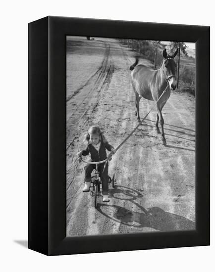 Little Girl Riding Her Tricycle, Leading Francis the Mule-Allan Grant-Framed Premier Image Canvas