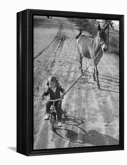 Little Girl Riding Her Tricycle, Leading Francis the Mule-Allan Grant-Framed Premier Image Canvas