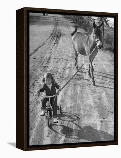 Little Girl Riding Her Tricycle, Leading Francis the Mule-Allan Grant-Framed Premier Image Canvas