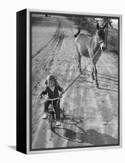 Little Girl Riding Her Tricycle, Leading Francis the Mule-Allan Grant-Framed Premier Image Canvas