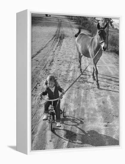 Little Girl Riding Her Tricycle, Leading Francis the Mule-Allan Grant-Framed Premier Image Canvas