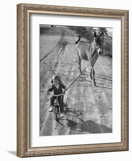 Little Girl Riding Her Tricycle, Leading Francis the Mule-Allan Grant-Framed Photographic Print