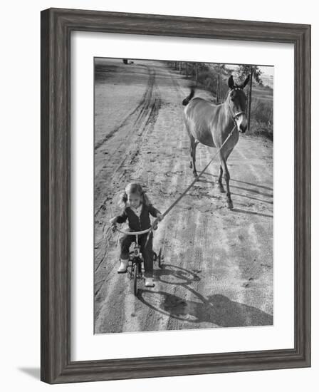 Little Girl Riding Her Tricycle, Leading Francis the Mule-Allan Grant-Framed Photographic Print