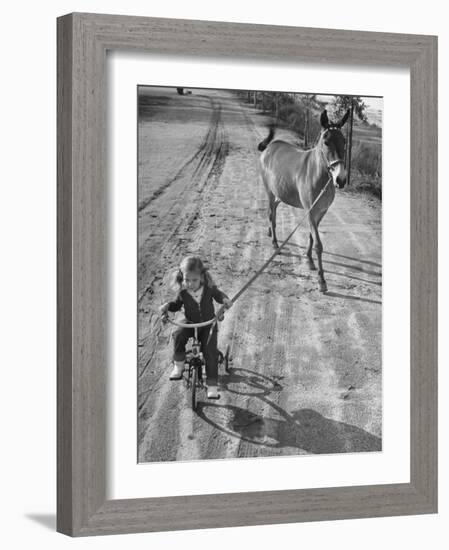 Little Girl Riding Her Tricycle, Leading Francis the Mule-Allan Grant-Framed Photographic Print