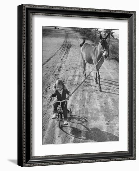 Little Girl Riding Her Tricycle, Leading Francis the Mule-Allan Grant-Framed Photographic Print