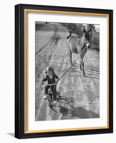 Little Girl Riding Her Tricycle, Leading Francis the Mule-Allan Grant-Framed Photographic Print