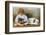 Little Girl Sits with a White Bulldog and Cuddles a Puppy-null-Framed Photographic Print