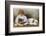 Little Girl Sits with a White Bulldog and Cuddles a Puppy-null-Framed Photographic Print