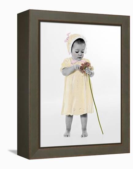 Little Girl Standing Holding a Sunflower-Nora Hernandez-Framed Premier Image Canvas