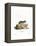 Little Grey Hamster-null-Framed Premier Image Canvas