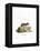 Little Grey Hamster-null-Framed Premier Image Canvas