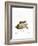 Little Grey Hamster-null-Framed Giclee Print