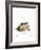 Little Grey Hamster-null-Framed Giclee Print