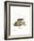 Little Grey Hamster-null-Framed Giclee Print