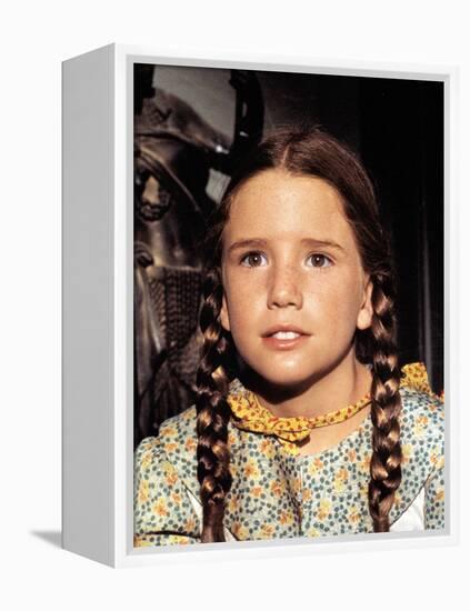 Little House on the Prairie-null-Framed Stretched Canvas