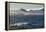 Little icebergs floating in front of the huge glaciers on Tabarin Peninsula, Antarctica, Polar Regi-Michael Runkel-Framed Premier Image Canvas