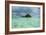 Little Island in the Rock Islands, Palau, Central Pacific-Michael Runkel-Framed Premium Photographic Print