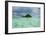 Little Island in the Rock Islands, Palau, Central Pacific-Michael Runkel-Framed Premium Photographic Print