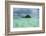 Little Island in the Rock Islands, Palau, Central Pacific-Michael Runkel-Framed Photographic Print