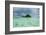 Little Island in the Rock Islands, Palau, Central Pacific-Michael Runkel-Framed Photographic Print