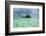 Little Island in the Rock Islands, Palau, Central Pacific-Michael Runkel-Framed Photographic Print